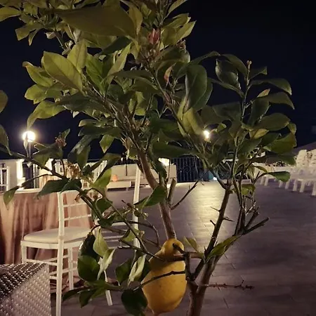 Le Di Pizzo Luxury Rooms&spa Affittacamere Pizzo (Calabria)